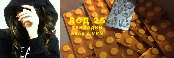 спиды Липки