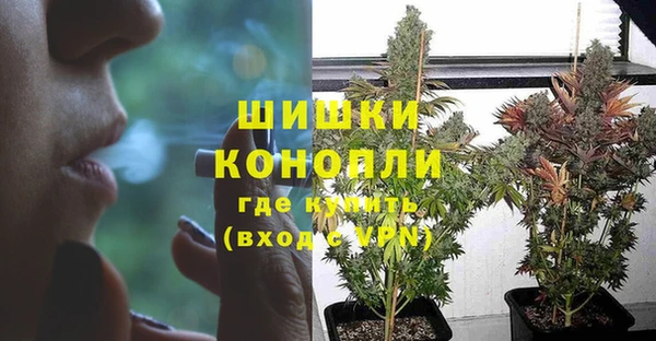 спиды Липки