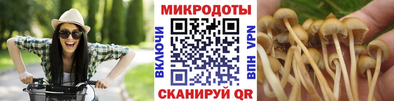Купить закладки  Отрадная  Галлюциногенные грибы ЛСД 
